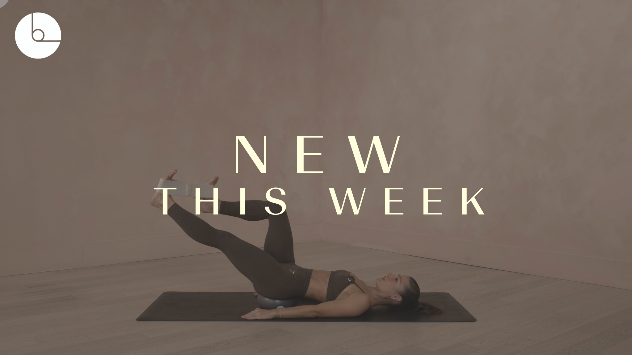 New! 15 min: Leg Inversion with Resistance