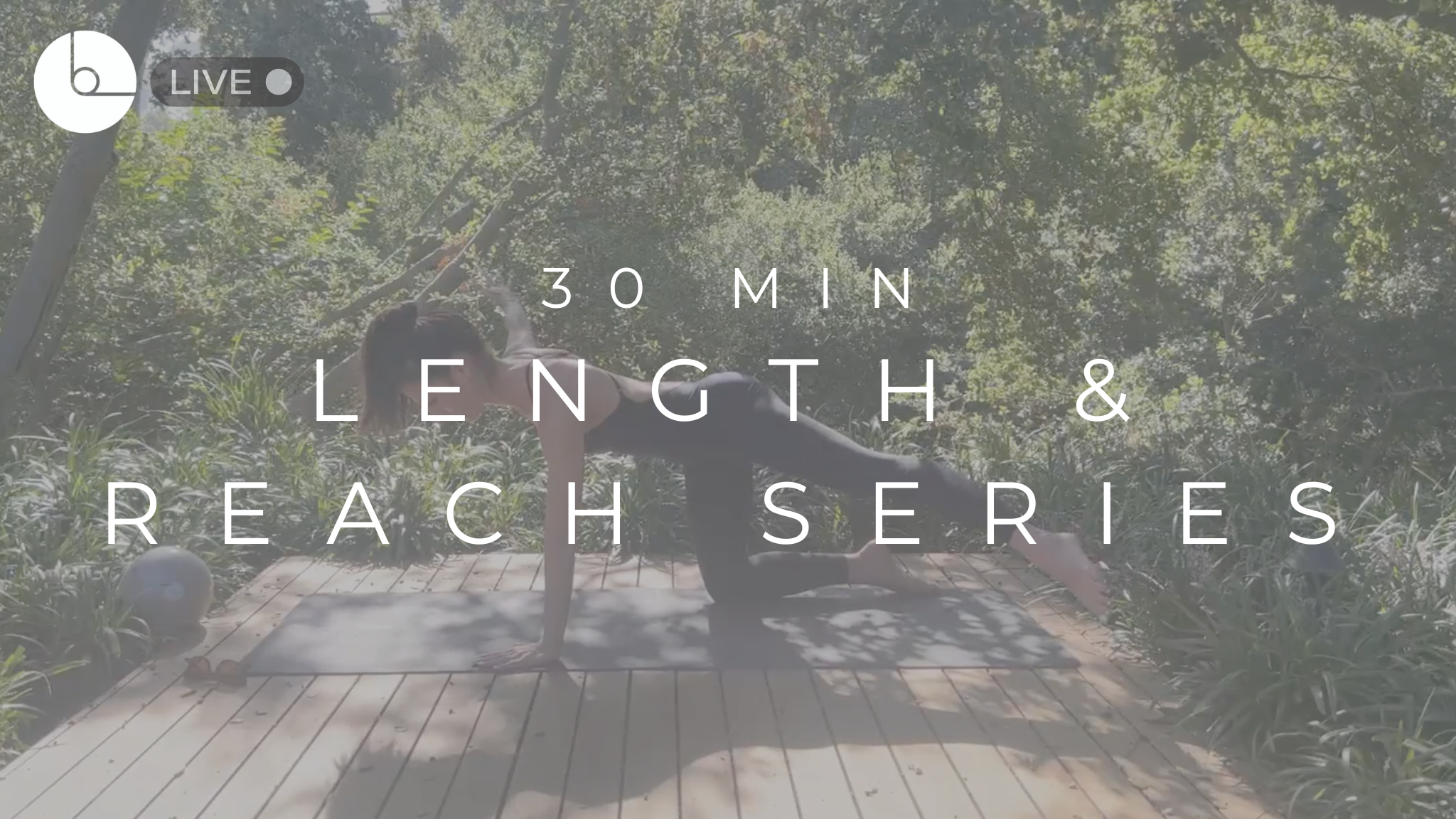 30 MIN : LENGTH & REACH SERIES #7