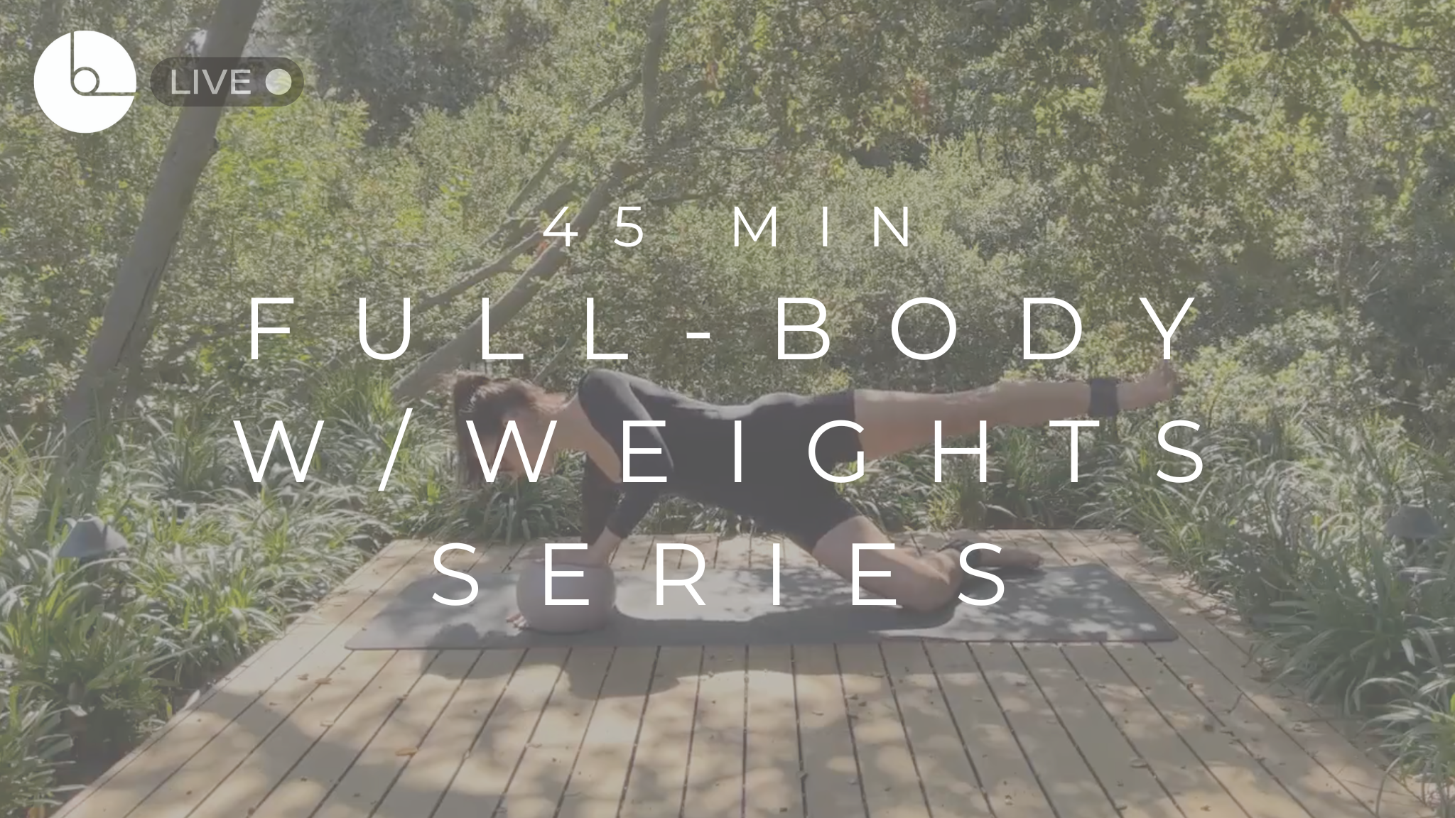 45 MIN : FULL-BODY W/WEIGHTS SERIES #5