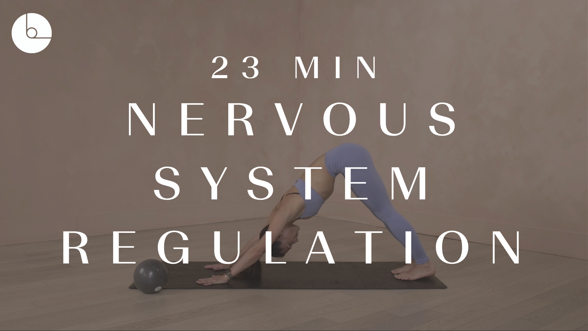 23 MIN: NERVOUS SYSTEM REGULATION