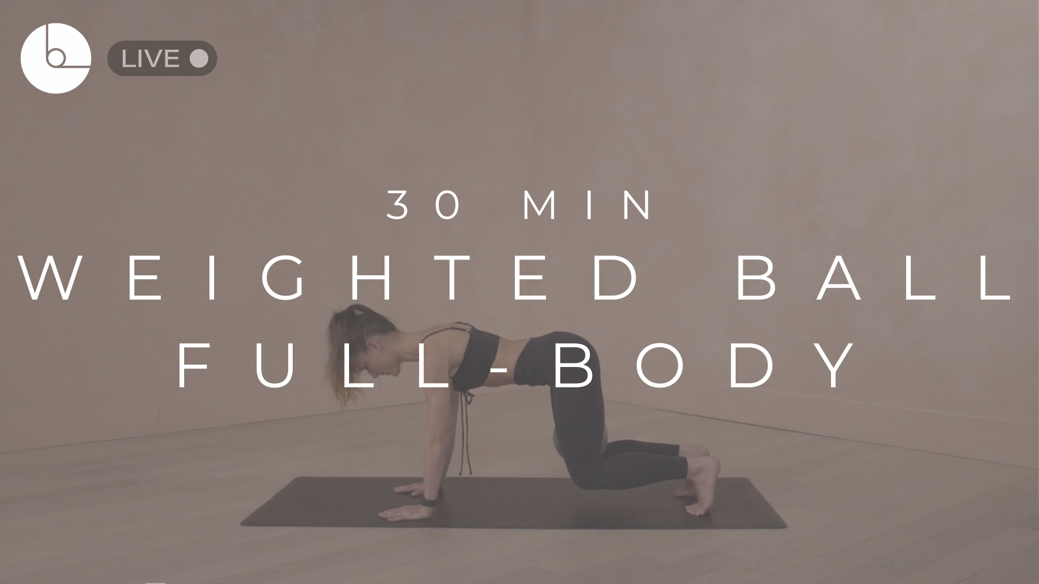30 MIN : WEIGHTED BALL FULL-BODY