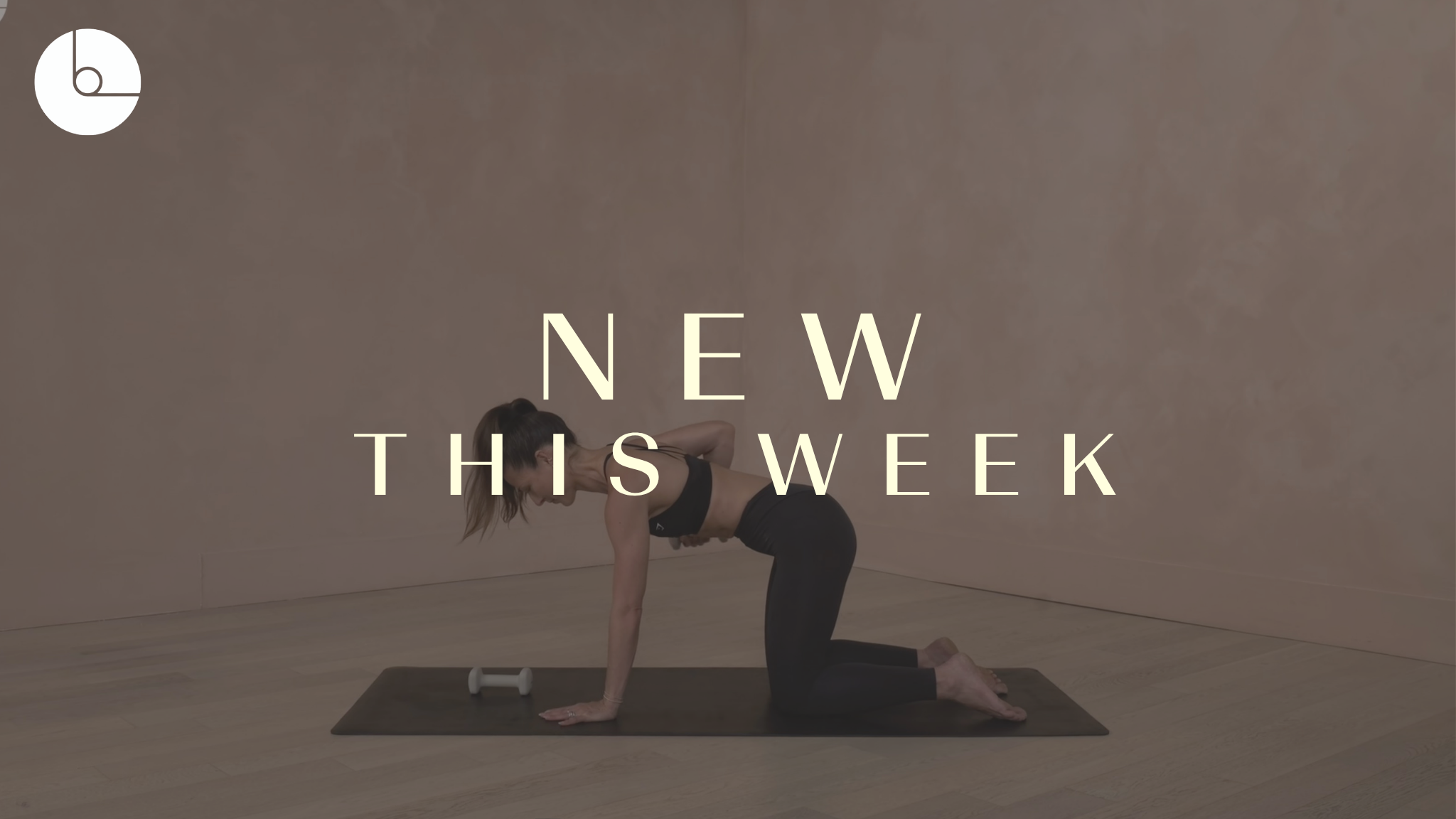 New! 15 min: Lightweight Arms
