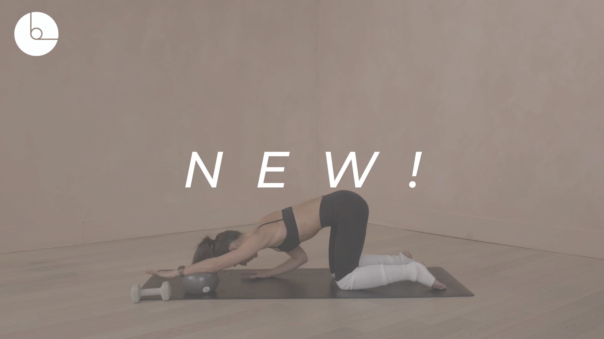 NEW! 20 MIN : UPPER BODY & CORE