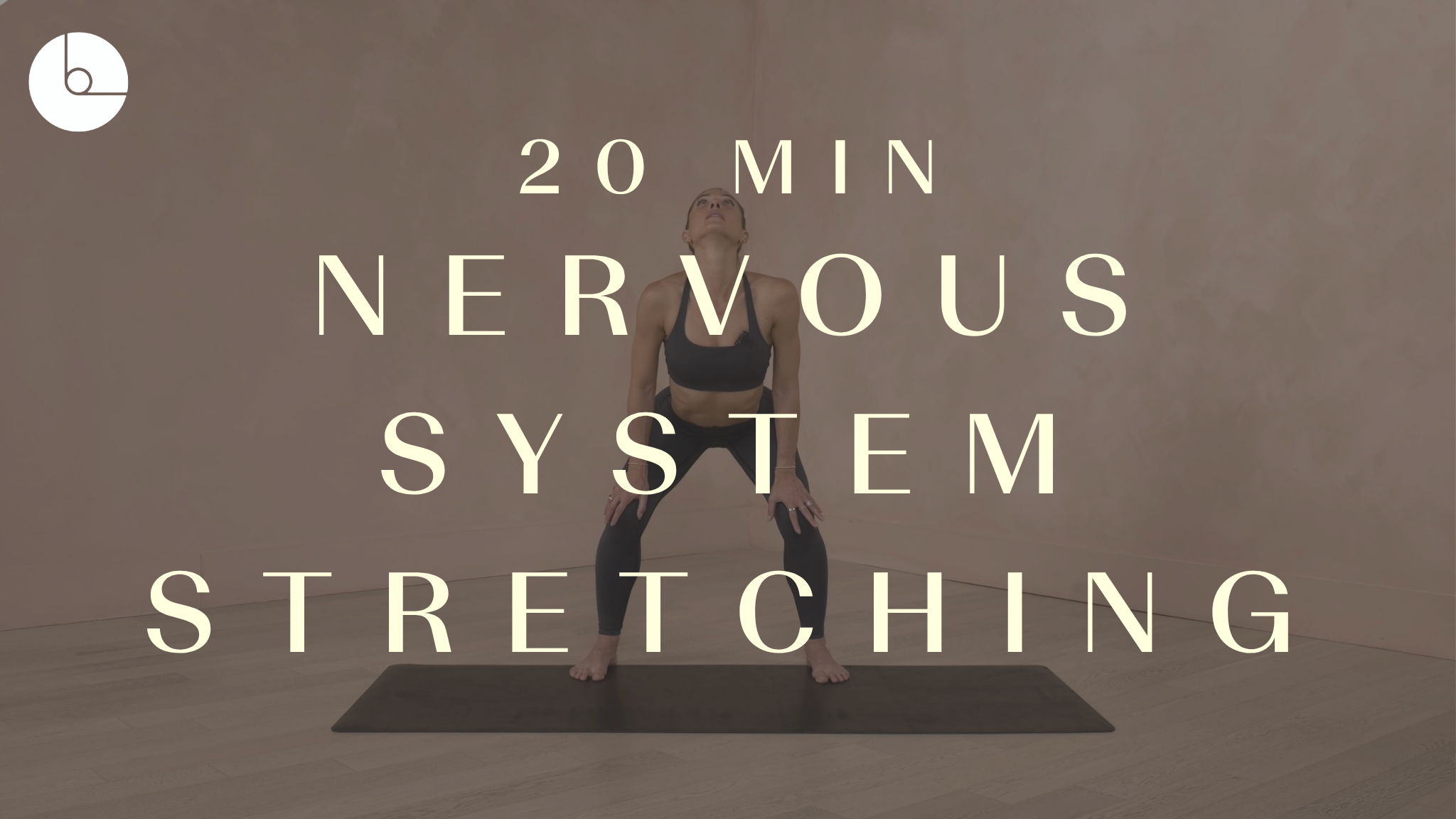 New! 20 min: Nervous System Stretching