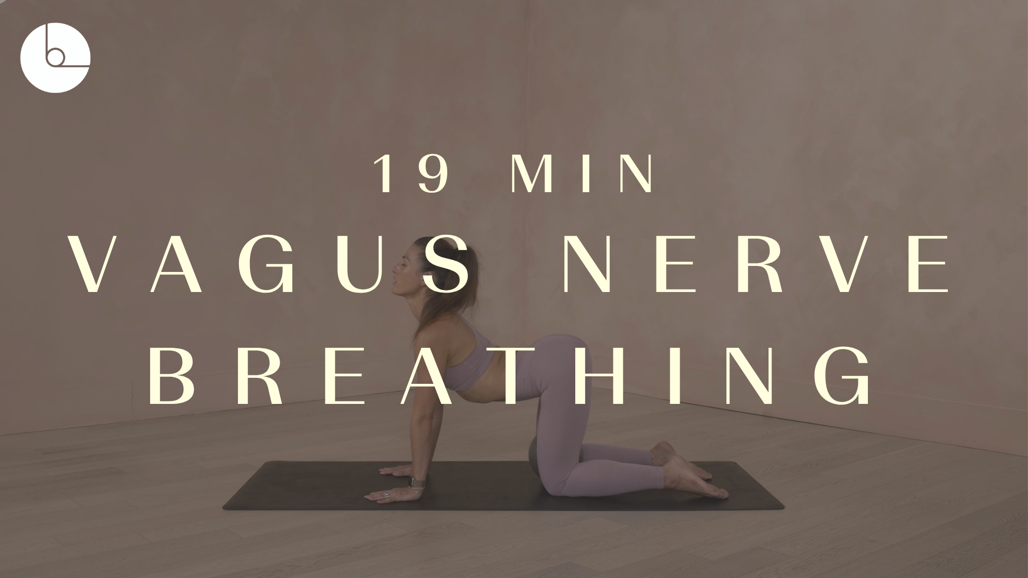 New! 19 min: Vagus Nerve Breathing