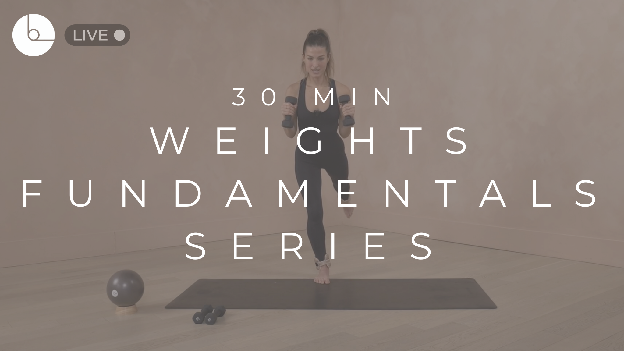 FUN DAY FOUR : 30 MIN WEIGHTS FUNDAMENTALS