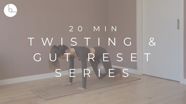 20 MIN : TWISTING & GUT RESET SERIES