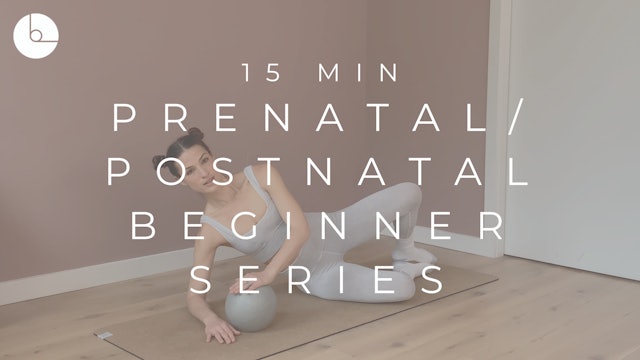15 MIN : PRENATAL/POSTNATAL BEGINNER SERIES #2