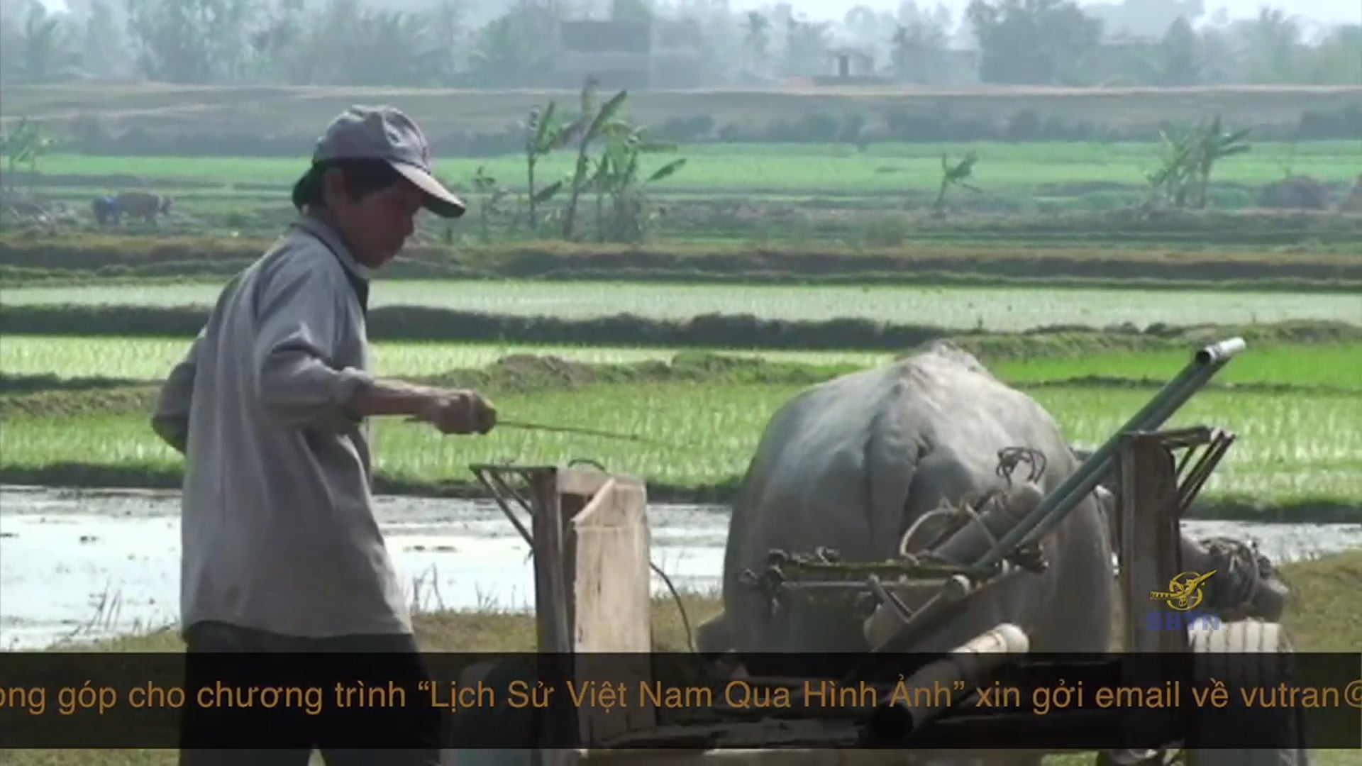 Lịch Sử Việt Nam 08 - Khởi Nghĩa Lam Sơn
