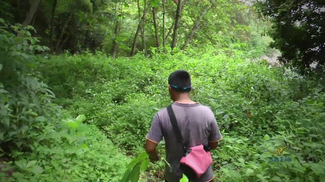 Ti Nan Viet Nam 16