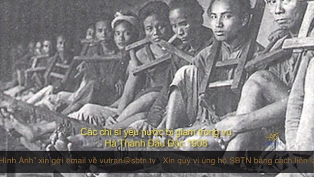 LSVN_36