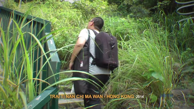 Ti Nan Viet Nam 12
