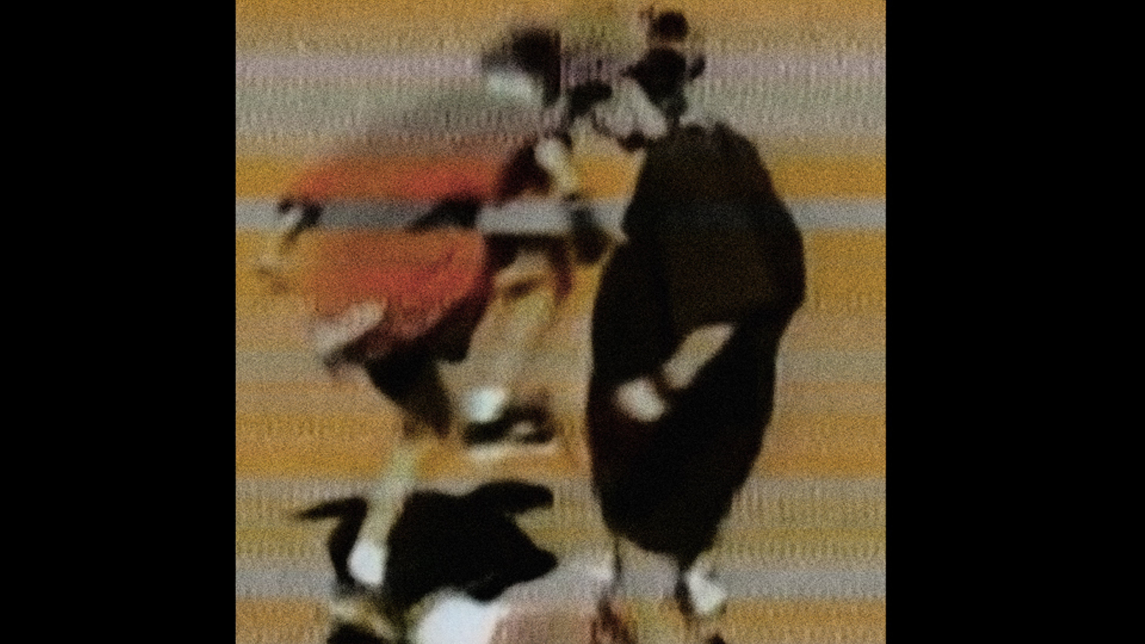 01 / Denis Côté : Mécanique de l'assassin