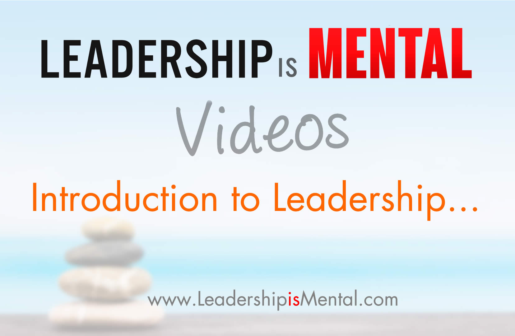 Introduction to Leadership