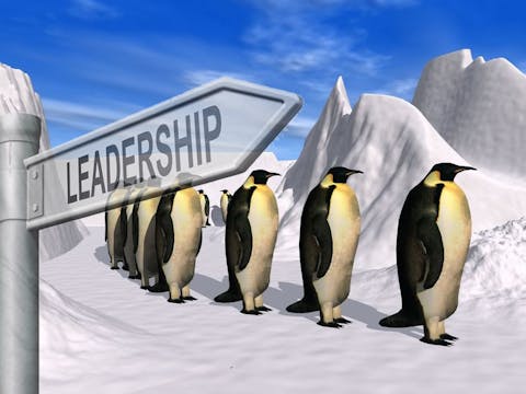 Free Leadership Videos