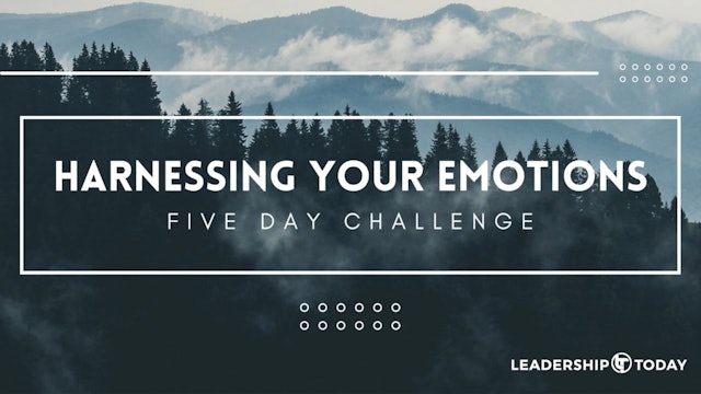 Harnessing Your Emotions - Preview