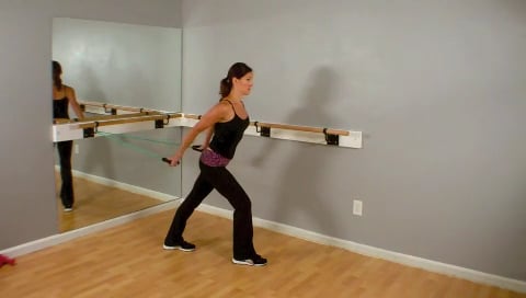 Tricep Bicep- Resistance Band