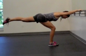 Basic Series I: Foldover