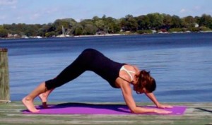 Yoga Fusion Flow IV: Upper Core II