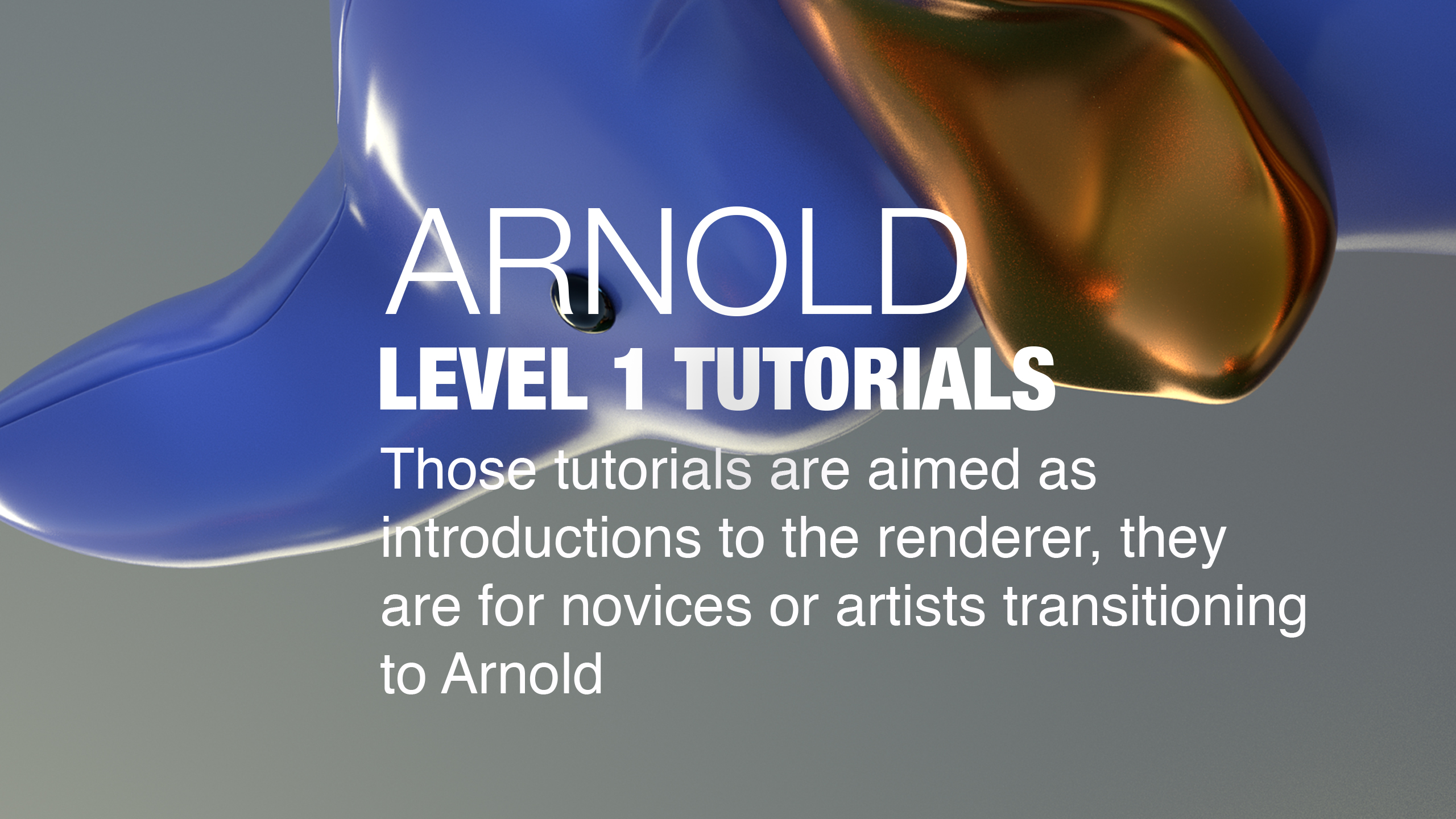 AR_LEVEL_1