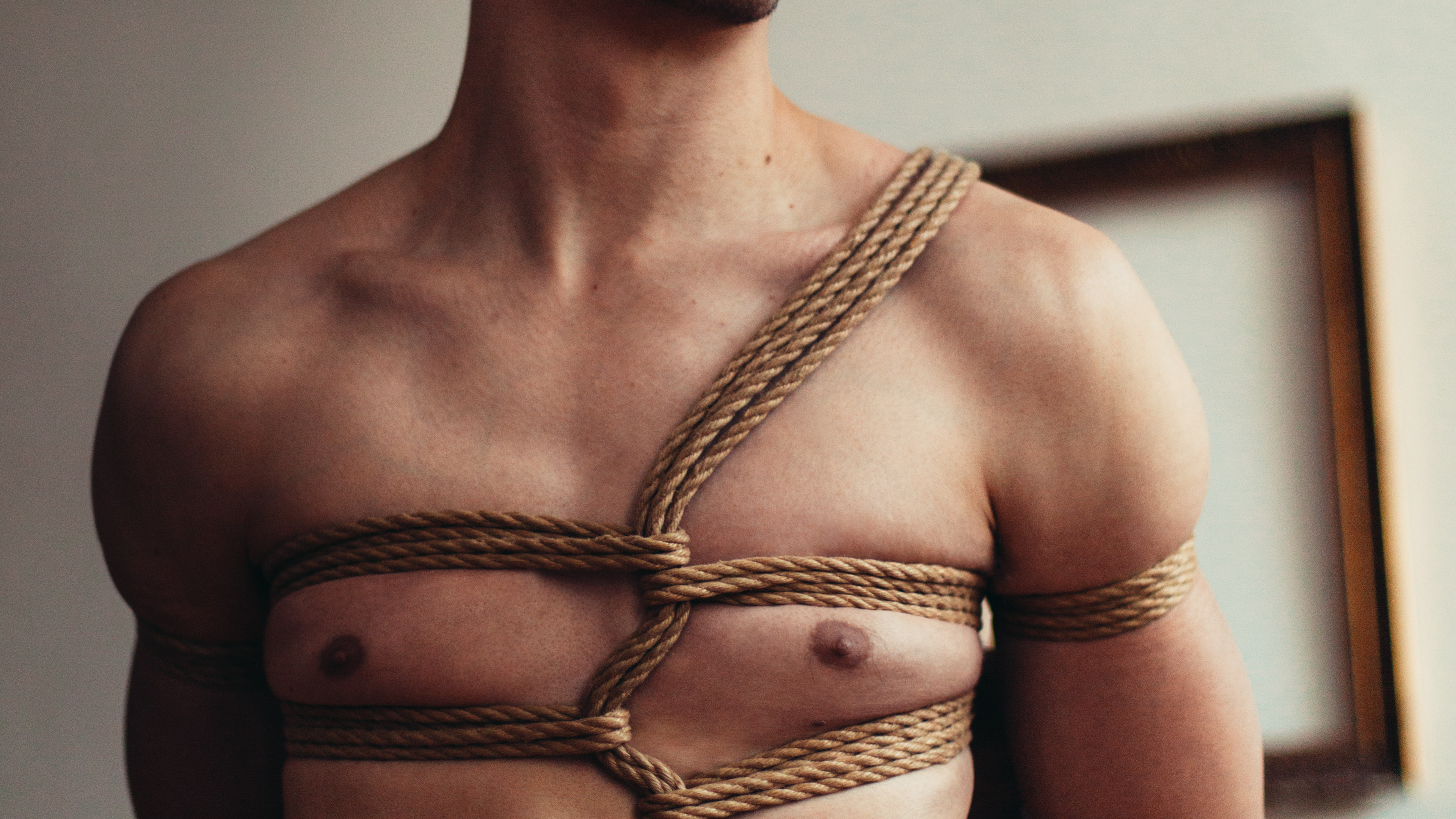 Asymmetric Harness