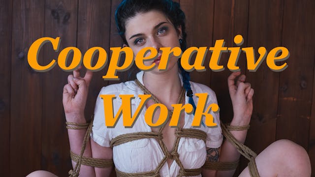 Cooperative Work