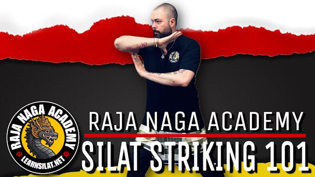SILAT STRIKING 101