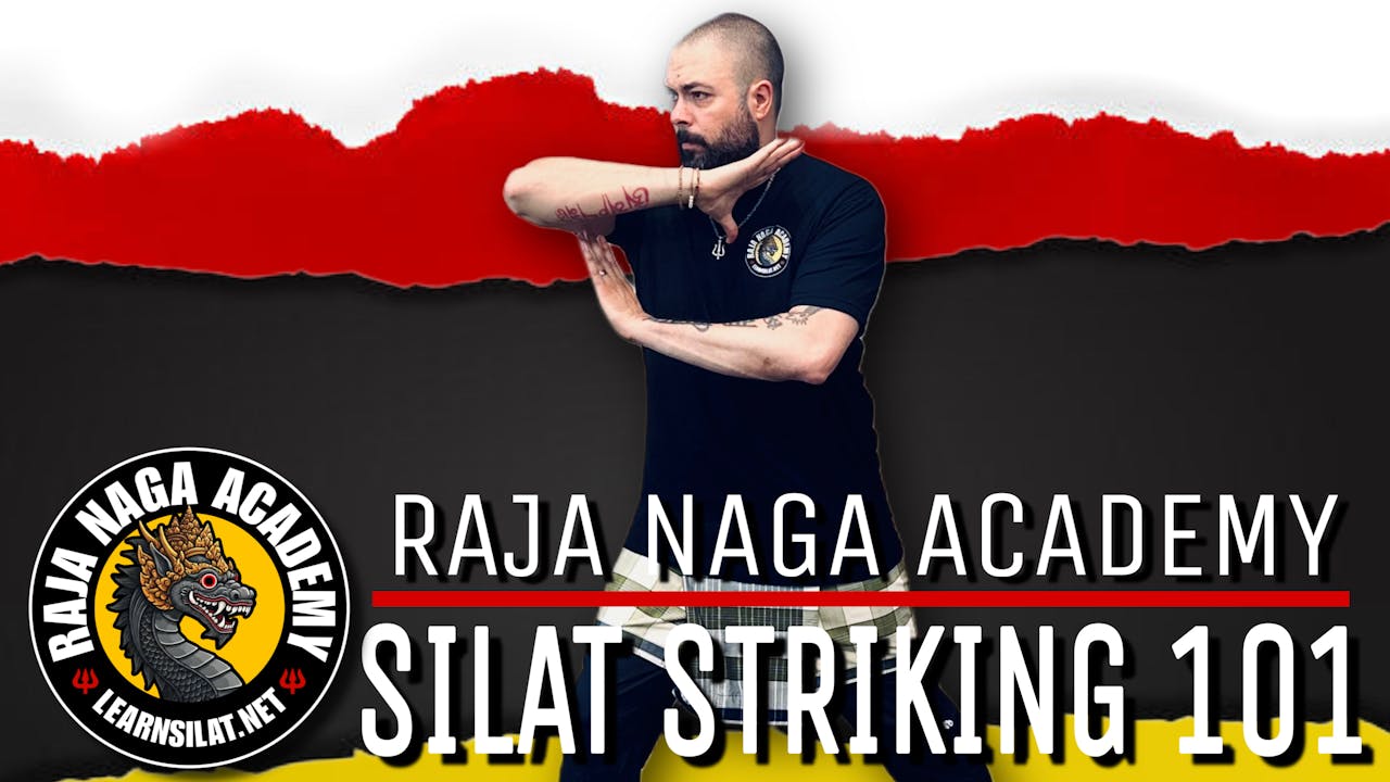 SILAT STRIKING 101