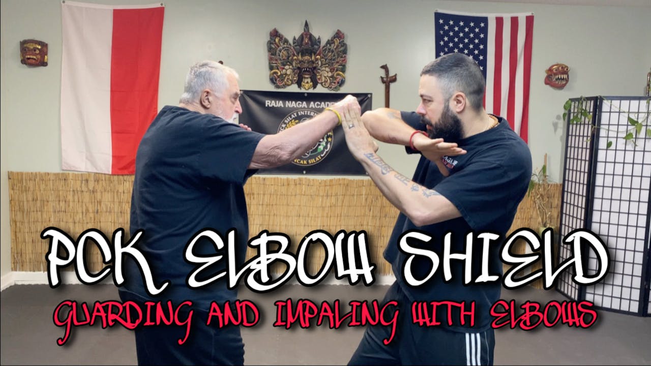 ELBOW SHEILD 1: GUARDING AND IMPALING WITH ELBOWS