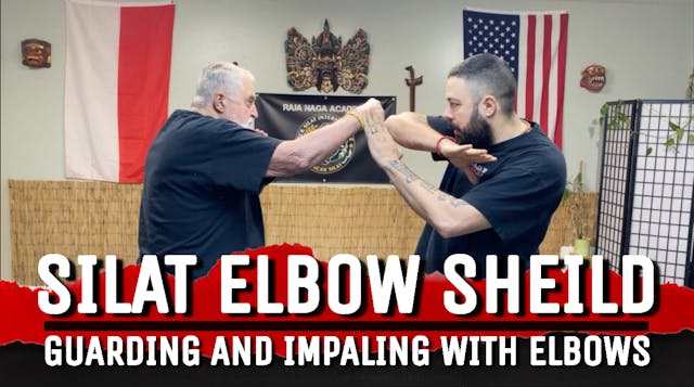 ELBOW SHEILD 1: GUARDING AND IMPALING WITH ELBOWS