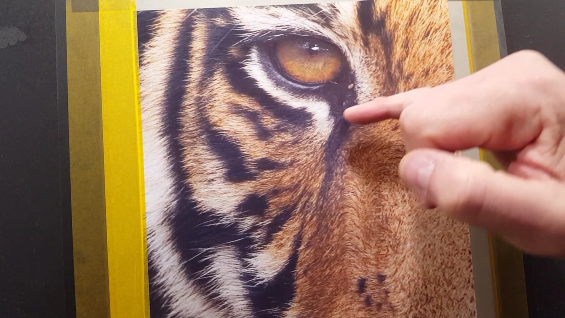 Airbrushing Tiger Textures (Part 1)