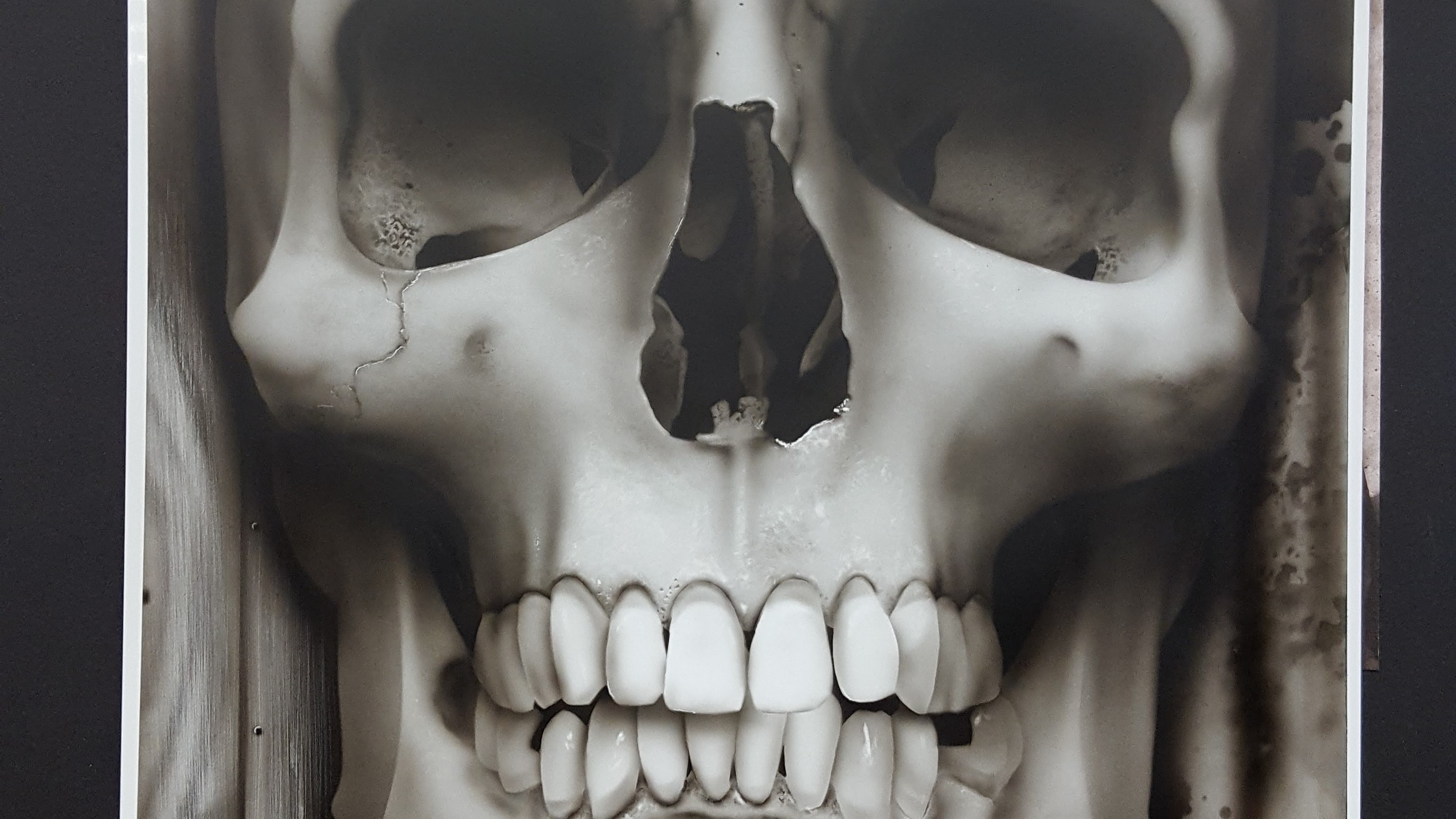 Beginner Skull - PART 1