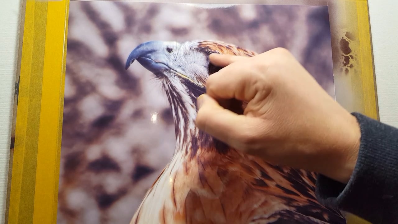 Airbrushing A Bird of Prey (Part 3)