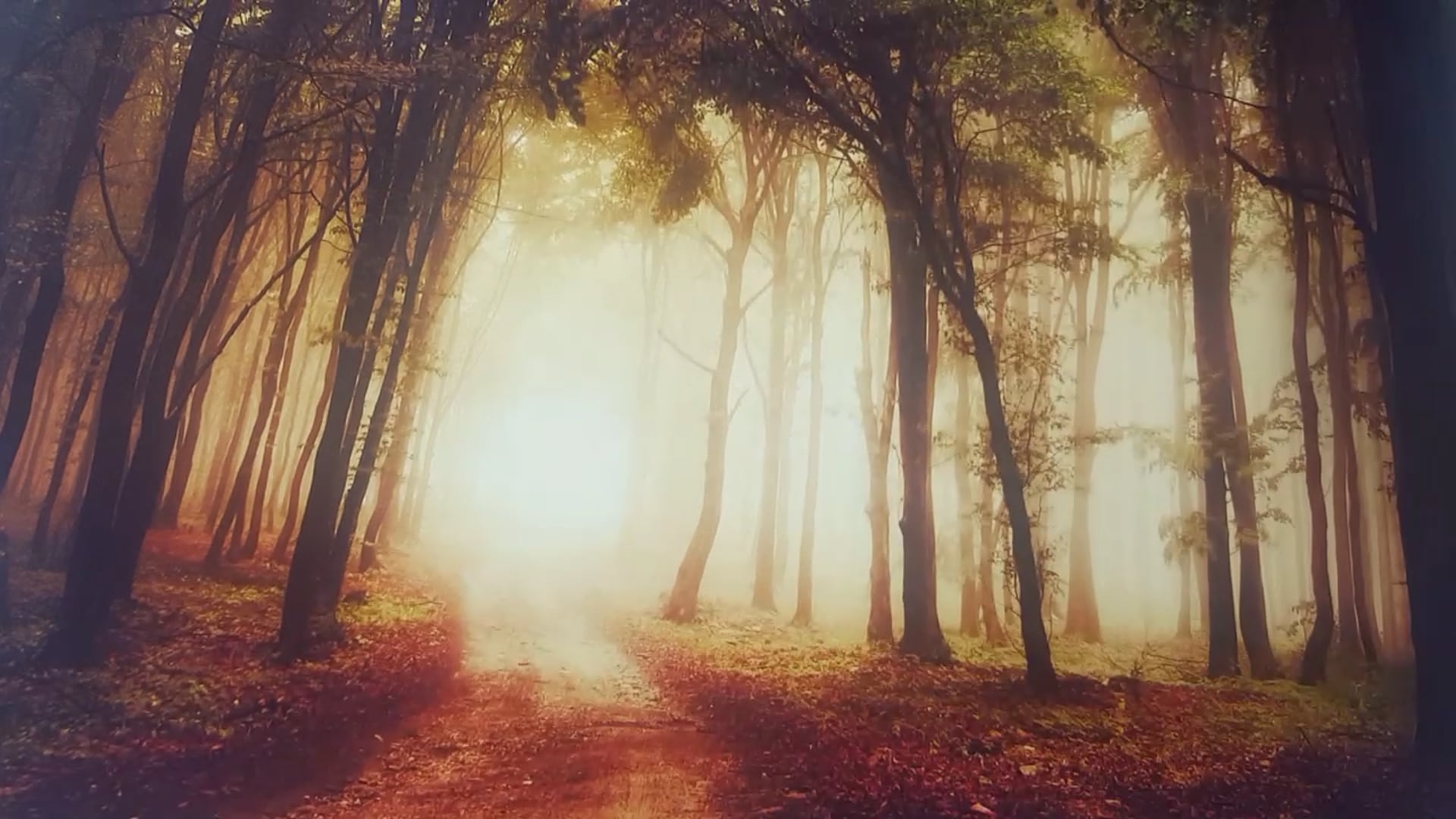 Airbrushing Landscapes (novice level) Part 1