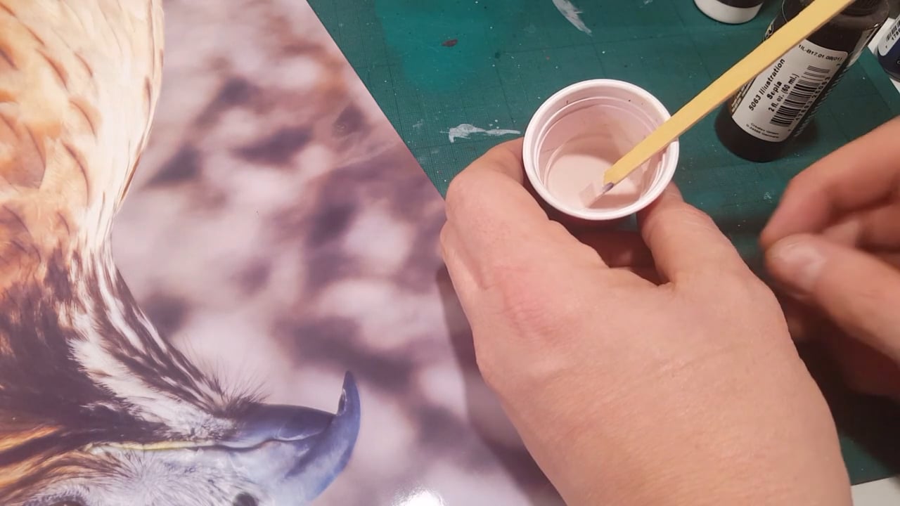 Airbrushing a Bird of Prey