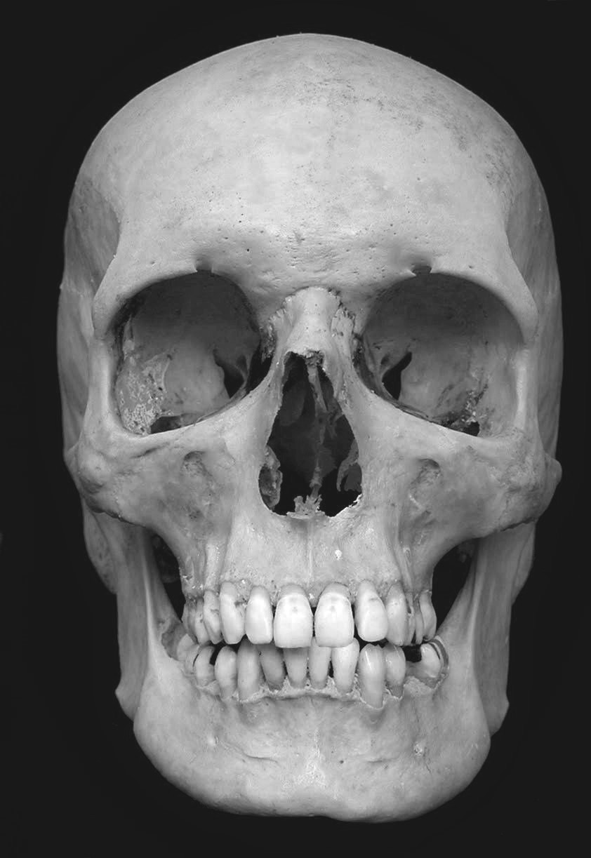 Beginner Skull Project