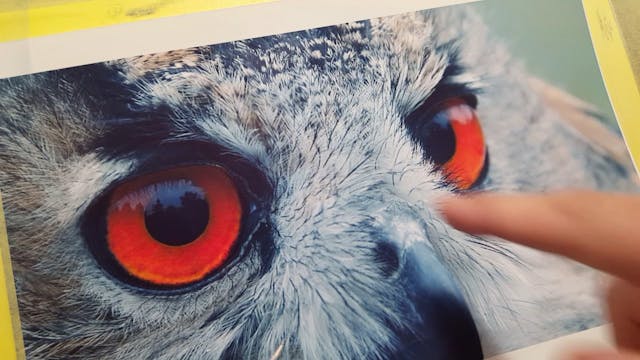 Airbrushing Feather Textures (Part 2)