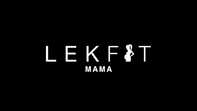 PRENATAL rebounder cardio + strength