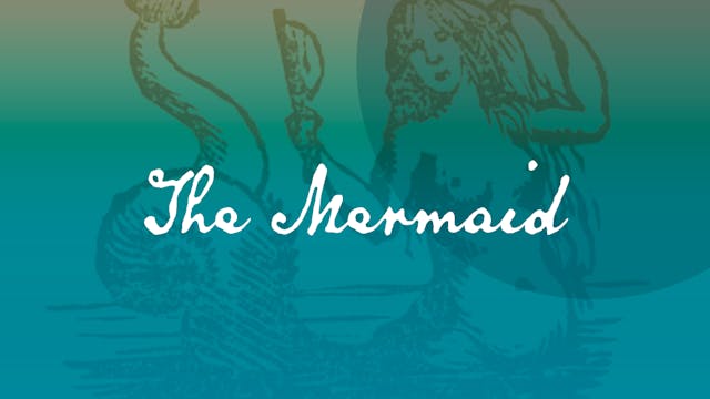 The Mermaid