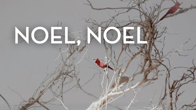 Noel, Noel