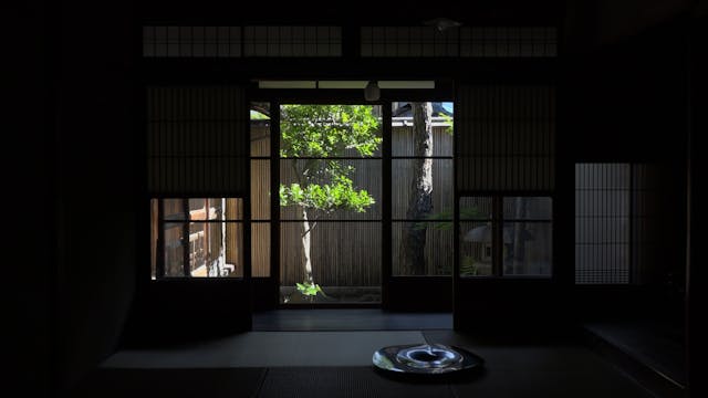 In Praise of Shadows