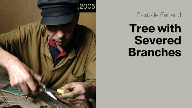 Tree with Severed Branches