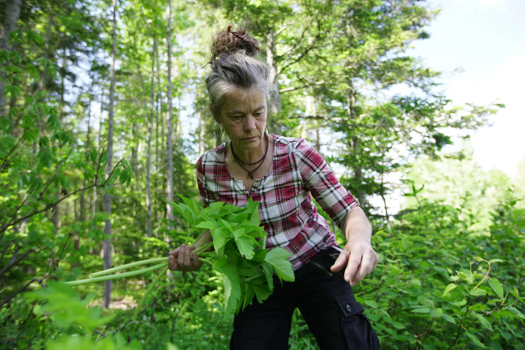 THE FAMILY OF THE FOREST by Laura Rietveld | Trailer - Les Films du 3 Mars