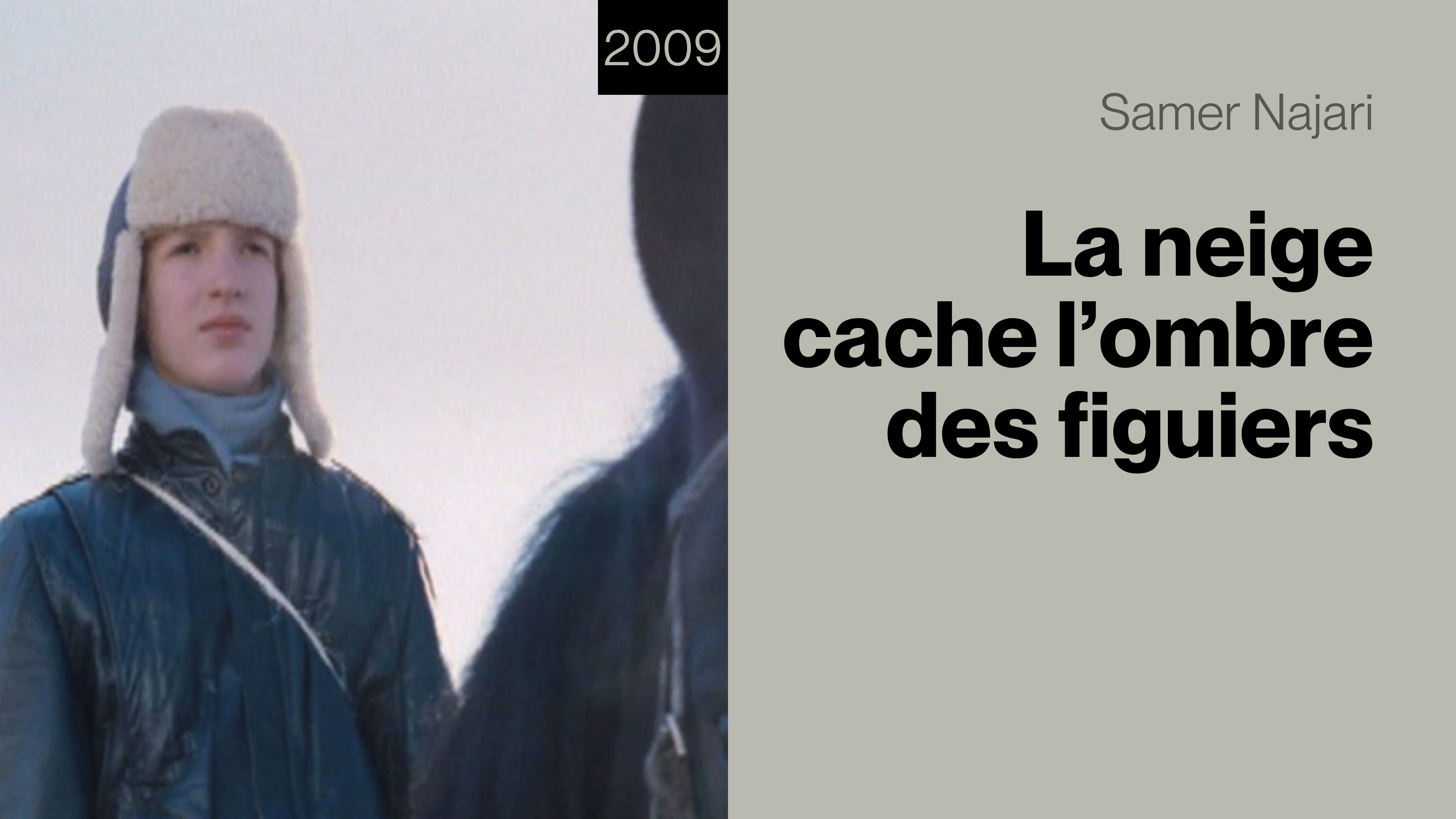 La neige cache l'ombre des figuiers