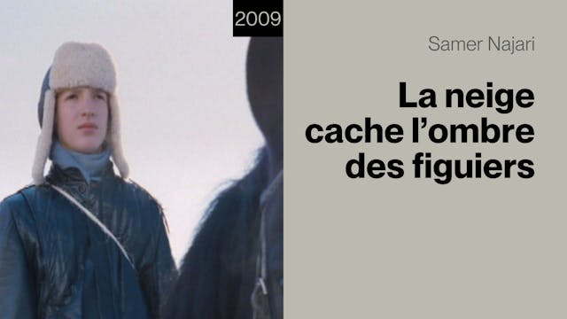 La neige cache l'ombre des figuiers