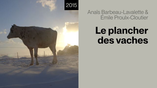 Le plancher des vaches