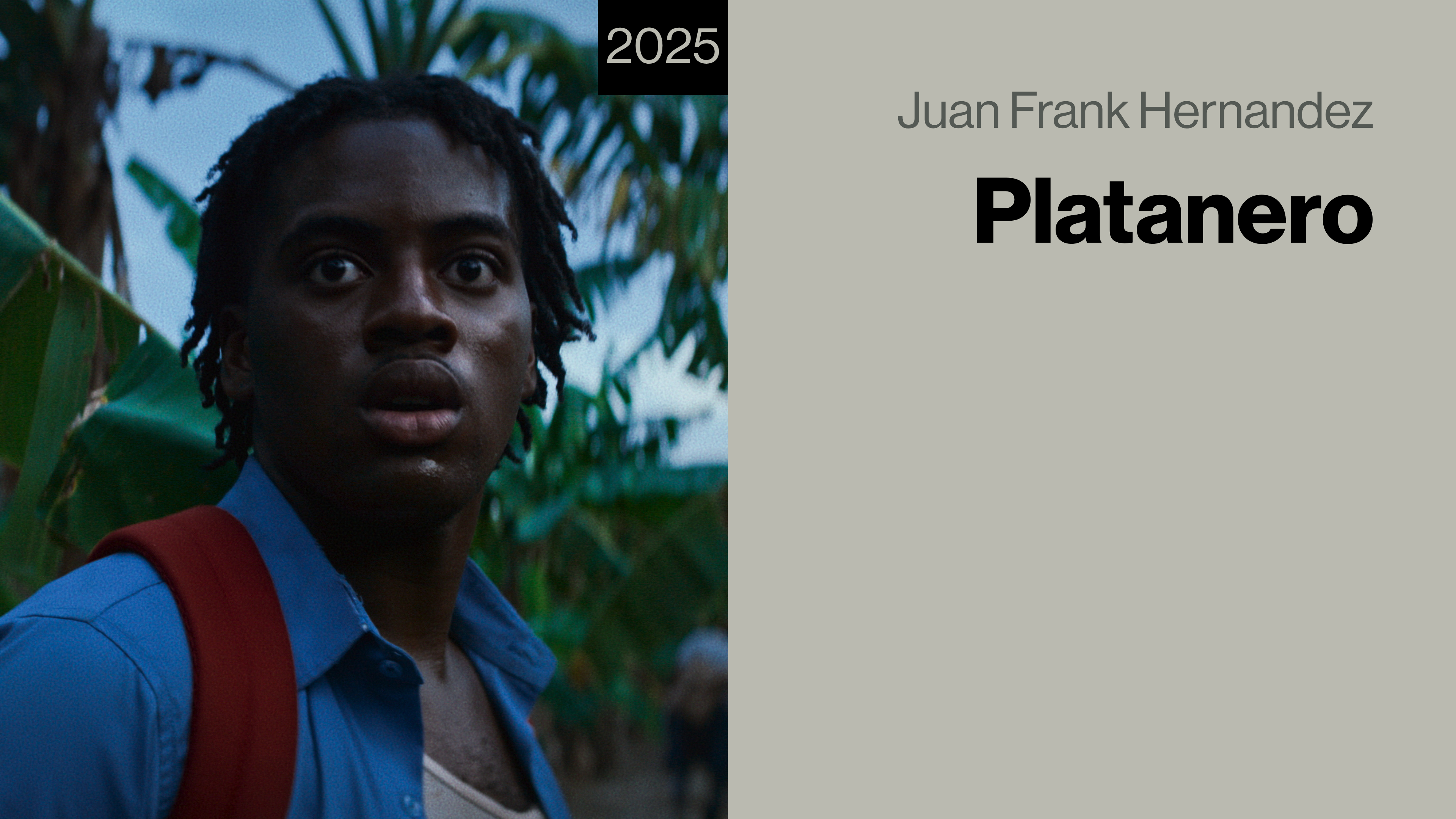Platanero
