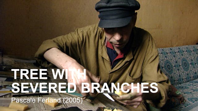 Tree with Severed Branches