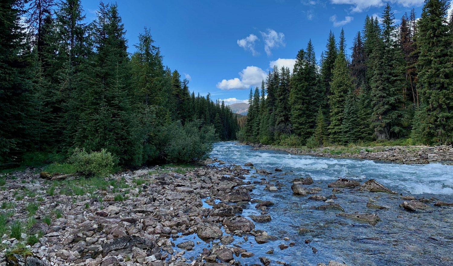 THE ISSUE WITH TISSUE - A BOREAL LOVE STORY by Michael Zelniker (Ep.2)