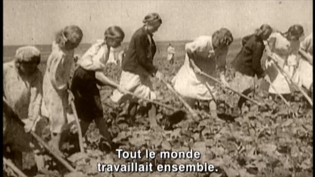 L'ARBRE AUX BRANCHES COUPÉES un film de Pascale Ferland